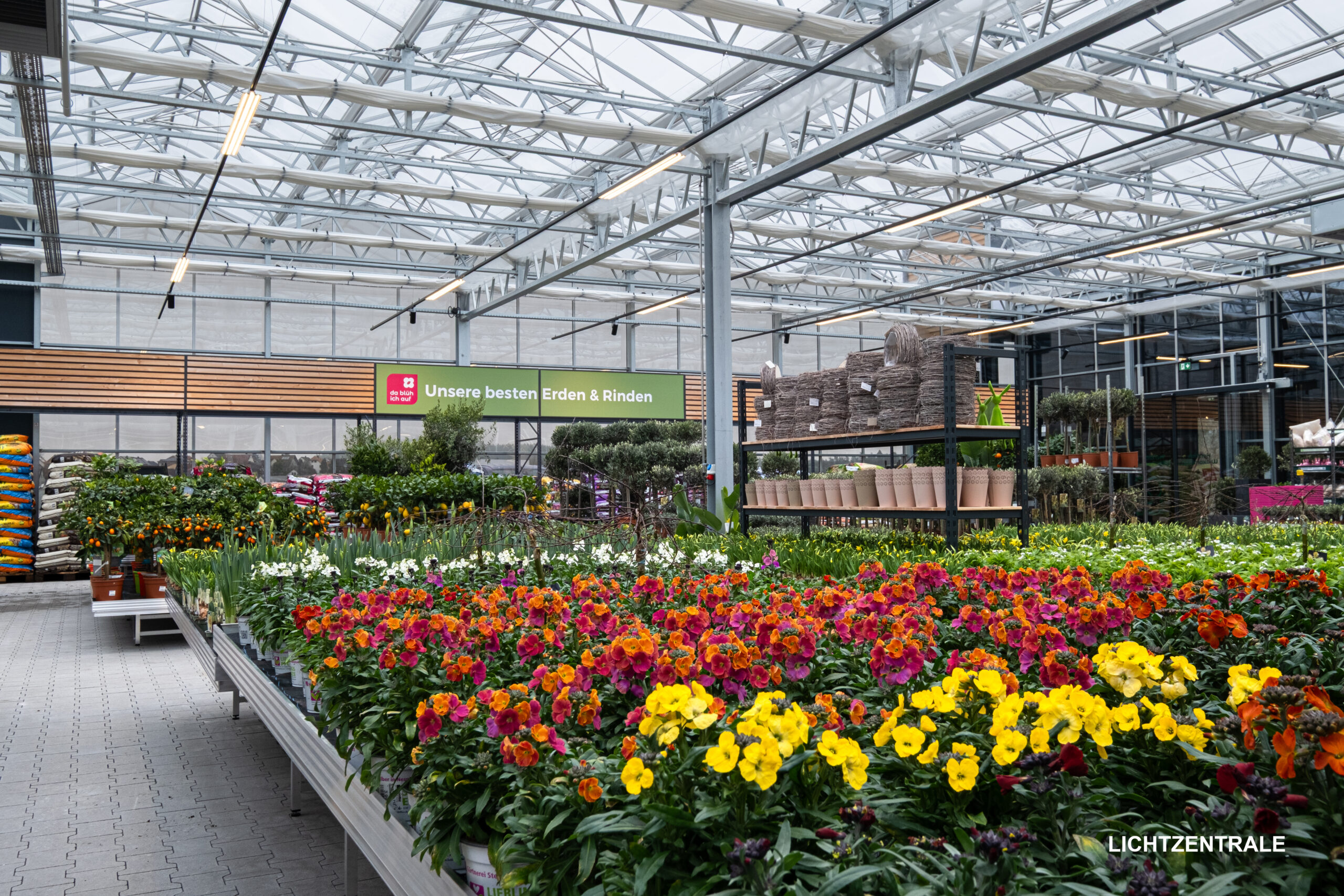 Helle Verkaufsfläche eines Gartencenters mit blühenden Frühlingspflanzen, Grünpflanzen, Pflanzgefäßen und Gartenzubehör in einem modernen Gewächshausbereich. Die farbenfrohen Blumen stehen auf langen Verkaufstischen und schaffen eine freundliche Einkaufsatmosphäre.
